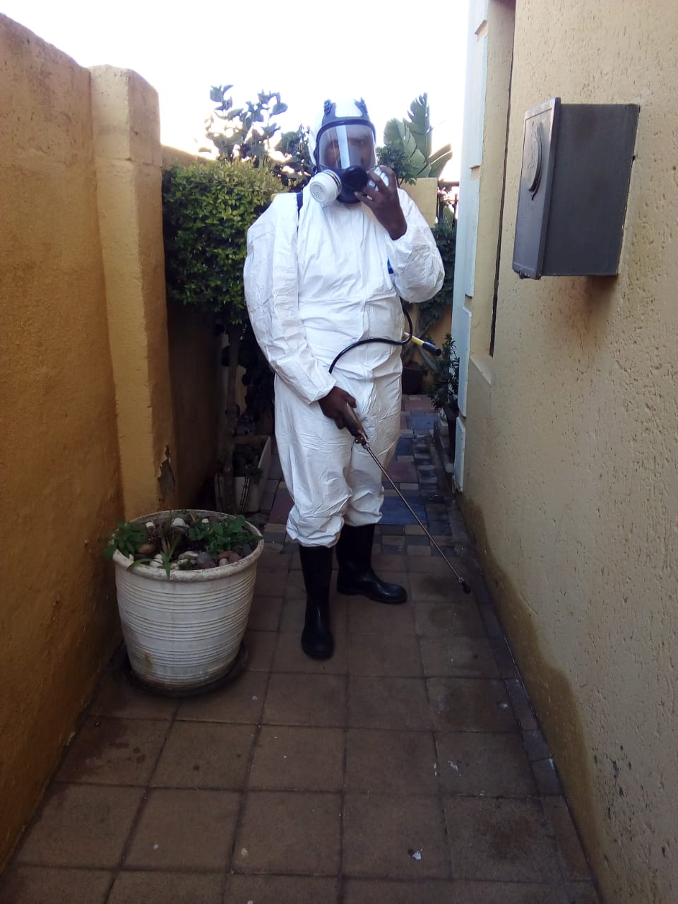 Termite soil treatment